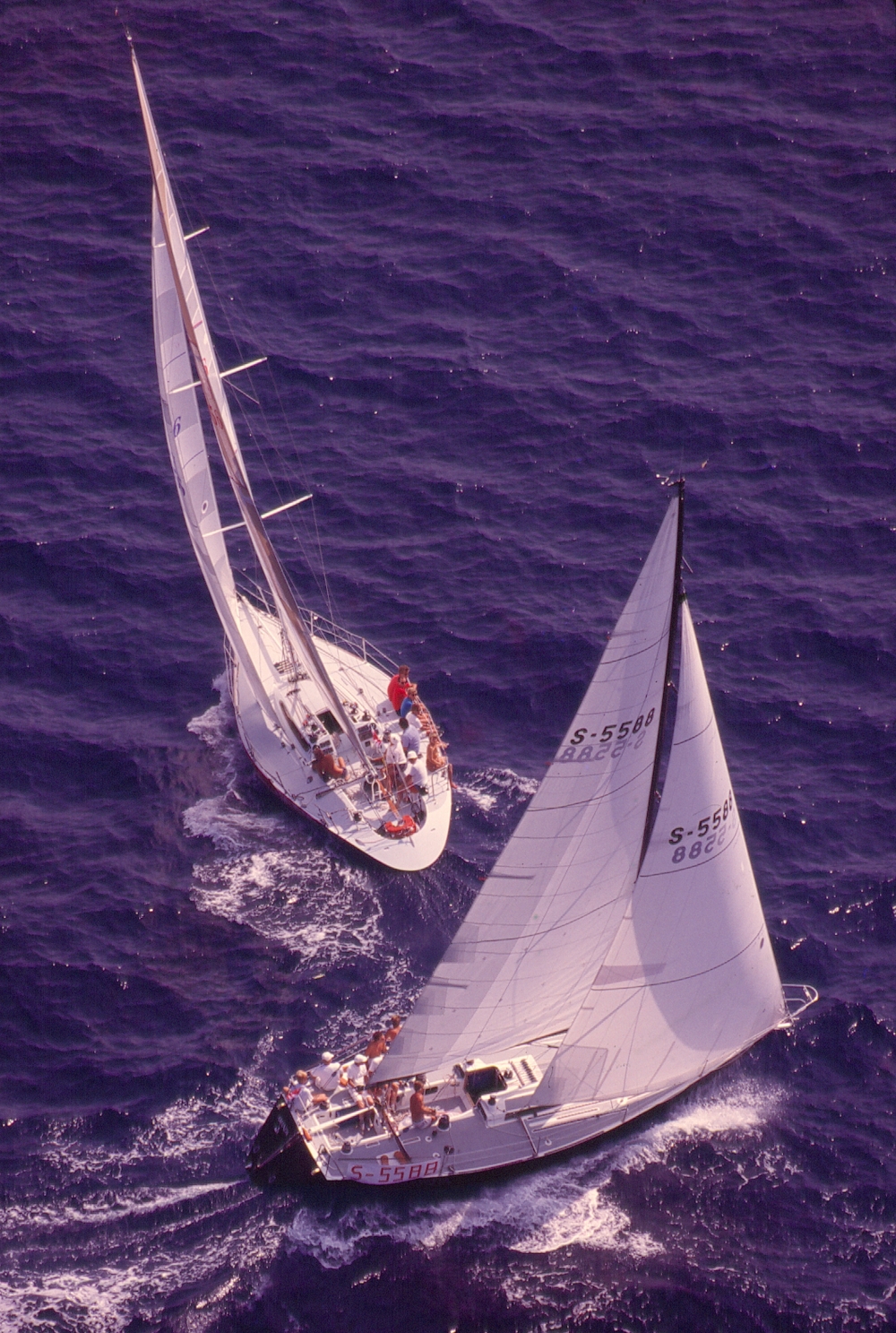 Il ritorno della Sardinia Cup - Magazine - Foto 2 - Yacht Club Costa Smeralda