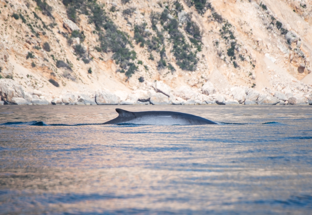 Our Ocean, Our Commitment, Our Opportunity - Magazine - Foto 9 - Yacht Club Costa Smeralda