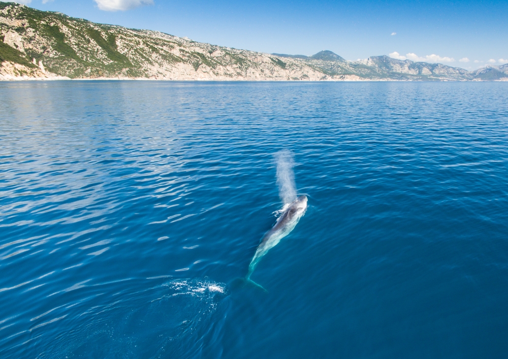 Our Ocean, Our Commitment, Our Opportunity - Magazine - Foto 10 - Yacht Club Costa Smeralda