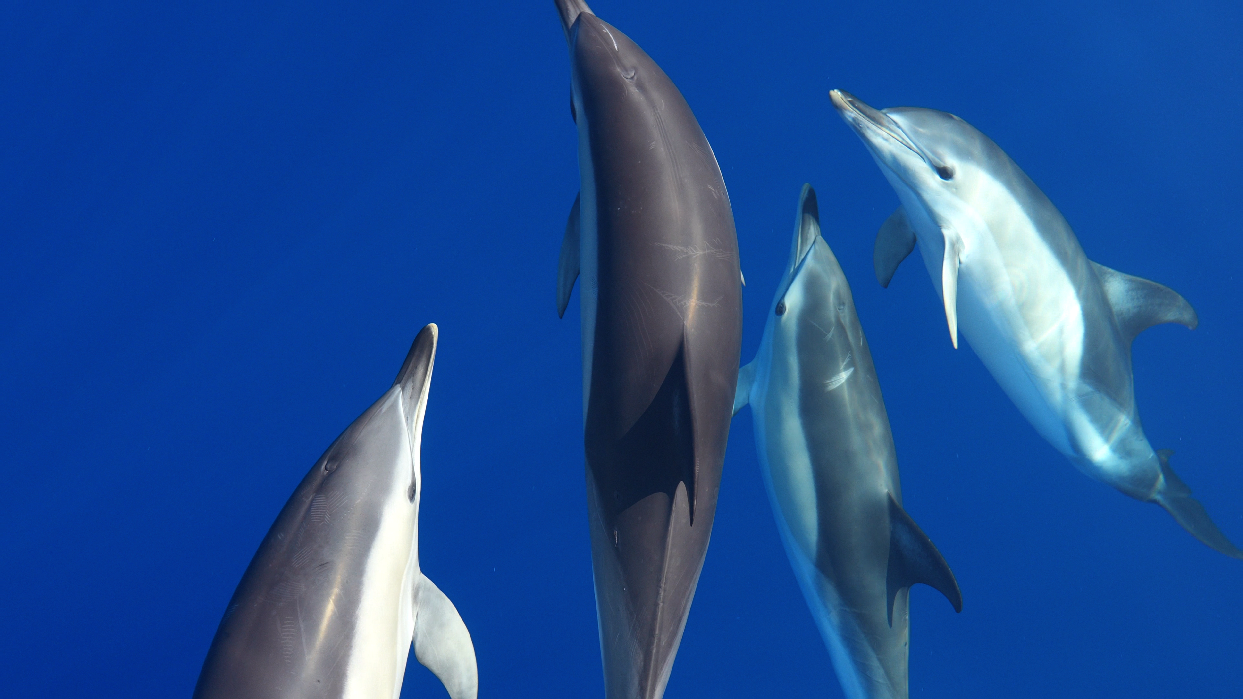 Our Ocean, Our Commitment, Our Opportunity - Magazine - Foto 8 - Yacht Club Costa Smeralda