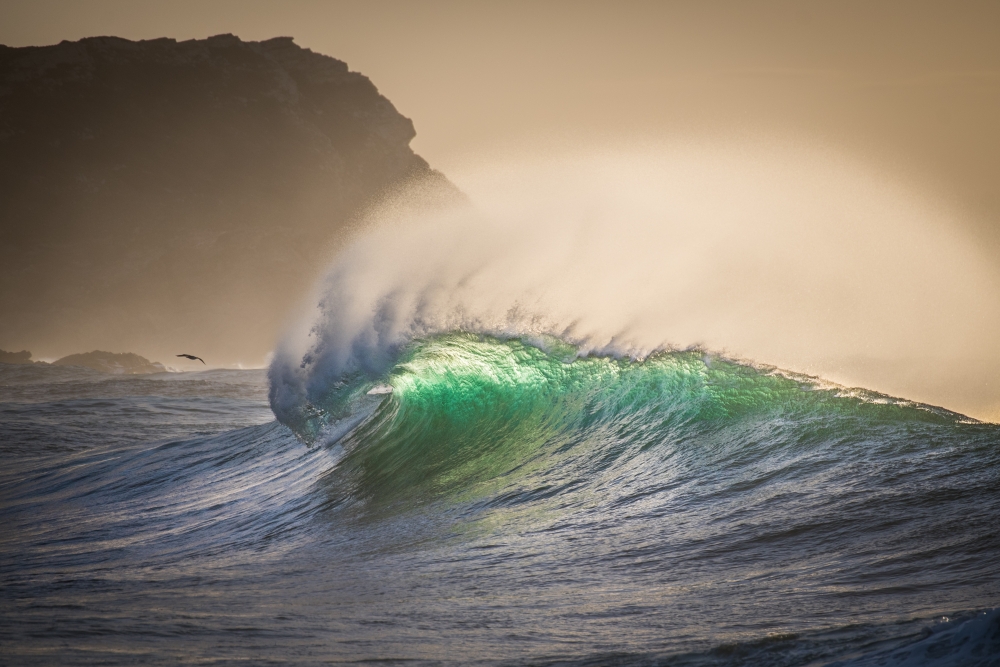 Our Ocean, Our Commitment, Our Opportunity - Magazine - Foto 4 - Yacht Club Costa Smeralda