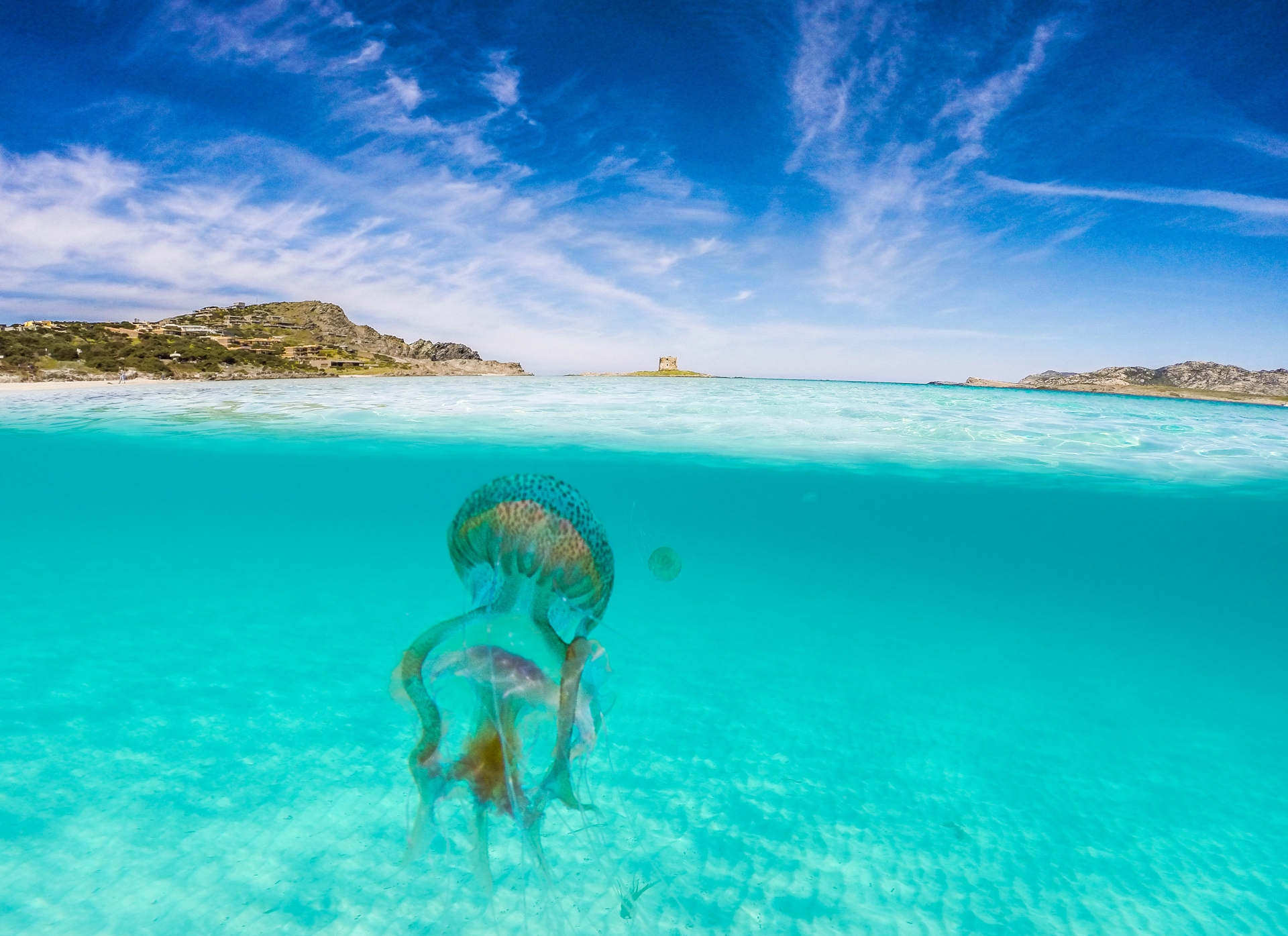 Il nostro oceano, il nostro impegno, la nostra opportunità - MAGAZINE - Yacht Club Costa Smeralda