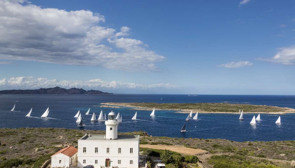 Wind keeps Swan fleet on docks - News - Yacht Club Costa Smeralda